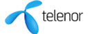 Telenor公司